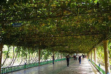 分析机构预测PSVR2第一年销量将达到160万台